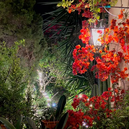 Palazzo Dei Fiori Since 1883 Balzan