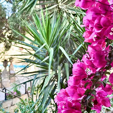 Palazzo Dei Fiori Since 1883 Villa Balzan