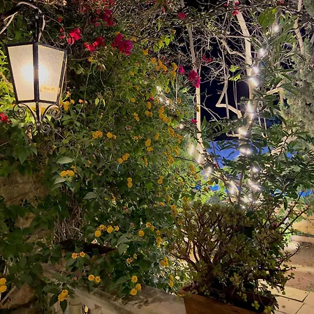 Villa Palazzo Dei Fiori Since 1883